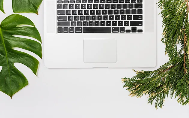kaiyun.com